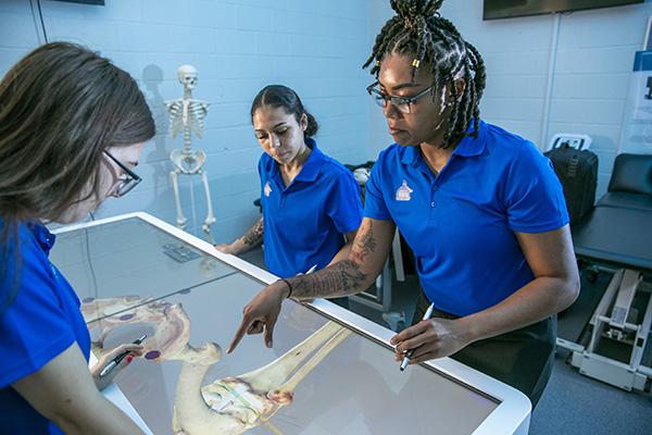 UWF学生在课堂上使用Anatomage虚拟尸体桌
